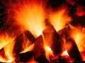 Sauna dla mężczyzn: Czy to zdrowie czy zagrożenie dla płodności?