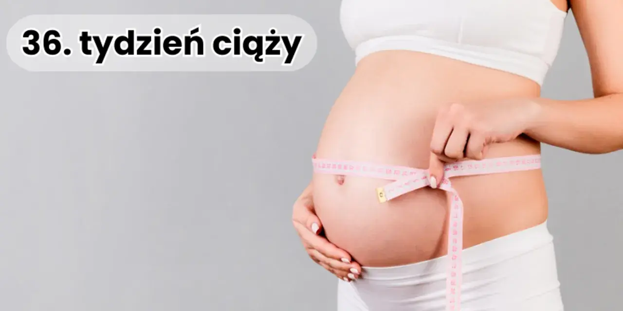Ciąża u mężczyzn: Fakty i mity. Kto naprawdę może urodzić?