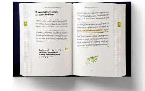 "Posiąść kobietę": Koniec z mitem! Odkryj sekrety zdrowych relacji.